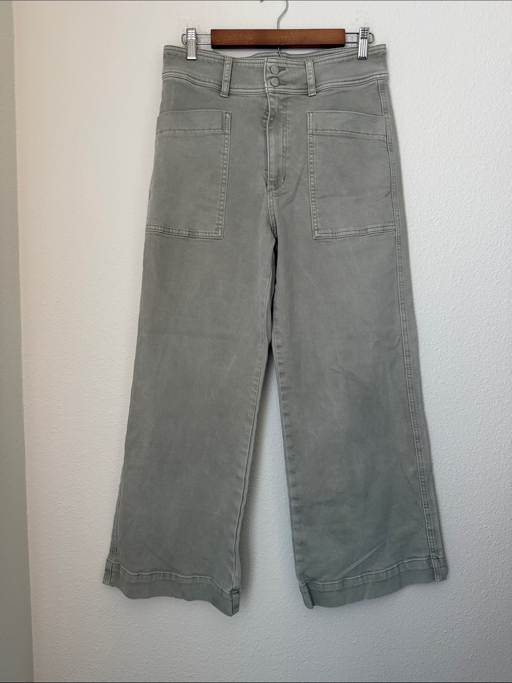 Joes Wide Leg Elm Pants
